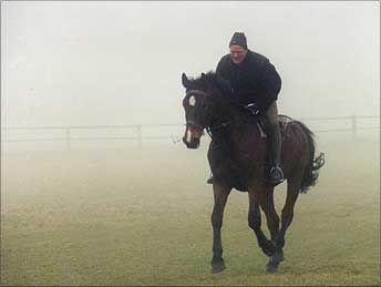 Ausritt im Nebel