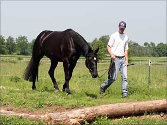 Jan mit Soléa