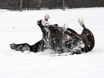 Winterimpressionen