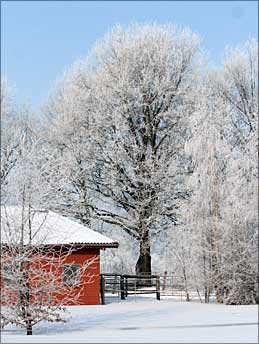 Weihnachten 2010