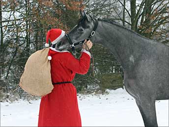 Frohe Weihnachten