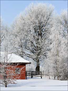 Winterimpressionen 2010