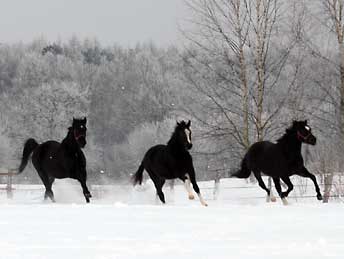 Winterimpressionen