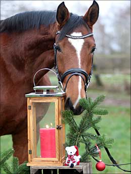 Weihnachtsgrüße